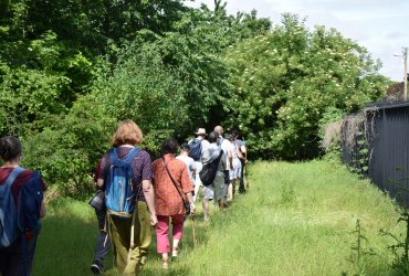 RANDONNÉE MILLE PATTES DANS LA VILLE ET LE PARC - 12 JUIN 2021